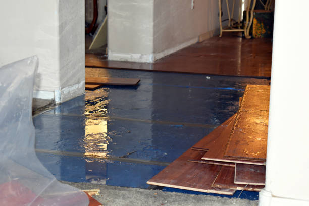Professional Water Damage Restoration technician working in Adkins, TX
